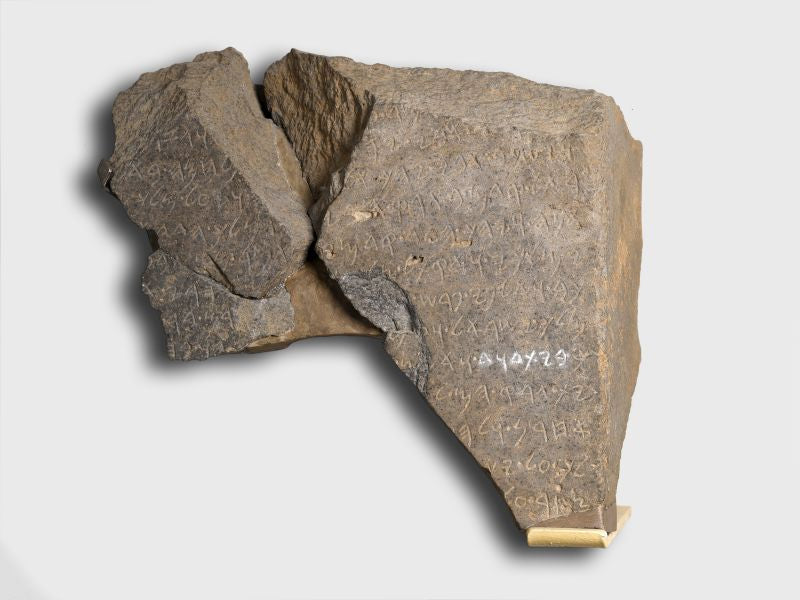 Month 1: The Tel Dan Stele