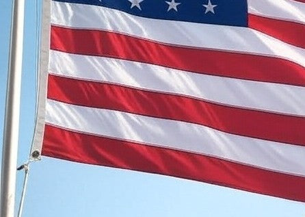 Allegations of Chinese Interference in the 2020 Election